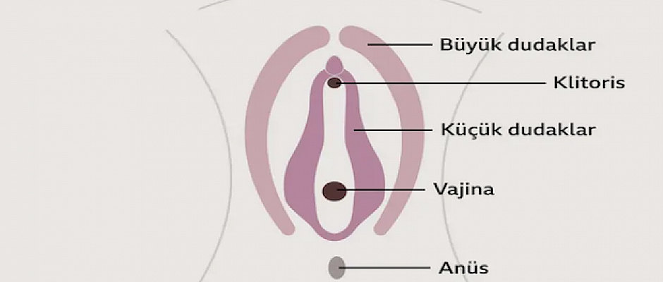 Vajina rengi mi koyu? Vajina parfümü ? Sosyal medyada yeni tartışma